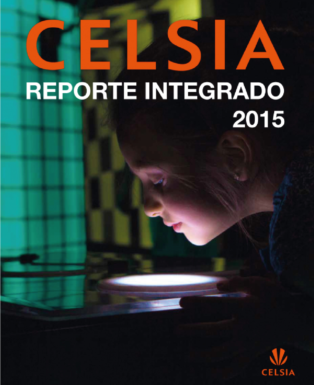 Reporte Integrado 2015