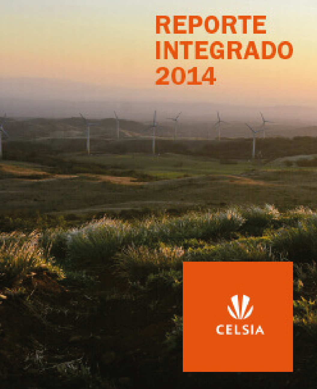 Reporte Integrado 2014