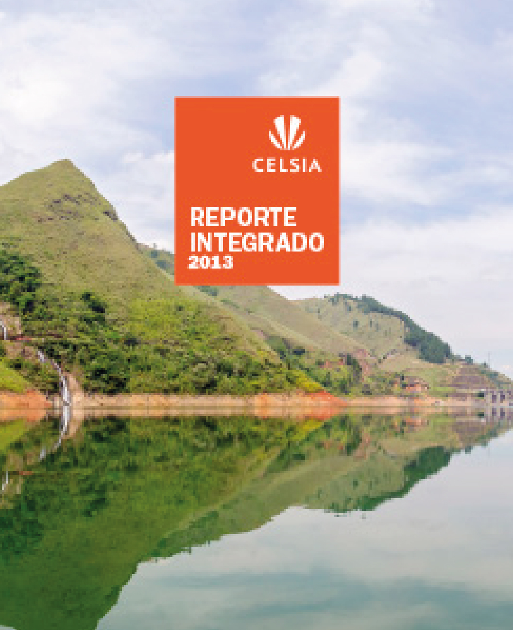 Reporte Integrado 2013