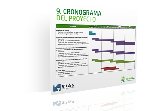 La formulación del plan